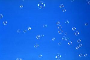 鹿児島県でペット葬なら鮫島商事