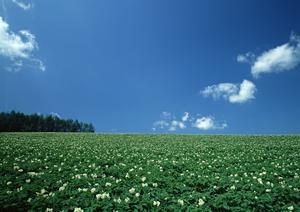 返礼品は「法事の贈物専門店」へ