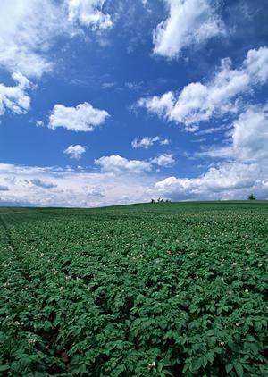 富士市原田で信頼の葬儀サービスを提供 ? 富士葬祭 富士原田の特徴と詳細情報