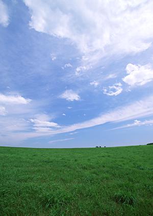 死後は見晴らしがいい場所で供養を
