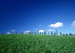 【静岡県富士宮市三園平】富士葬祭 三園平｜家族葬・一般葬に最適な葬儀場と充実のサービス内容
