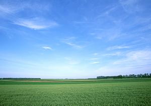 静岡市で安心の葬儀を提供する富士葬祭 慈悲尾の全て