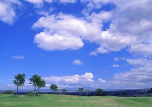 自分らしいお葬式ができる葬儀会社がある