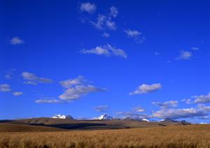 東京都町田市での家族葬をお考えなら