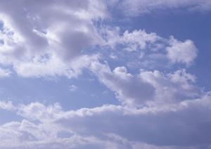 大自然の懐に抱かれて眠る樹木葬