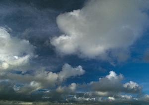 墓石の引き取りなども行なう石材店です