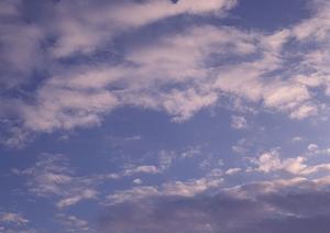 樹木葬も行えるお寺になります